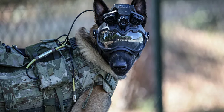 Mehmetçiğin arazideki gözü olacak