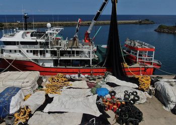 Palamut nereye onlar oraya