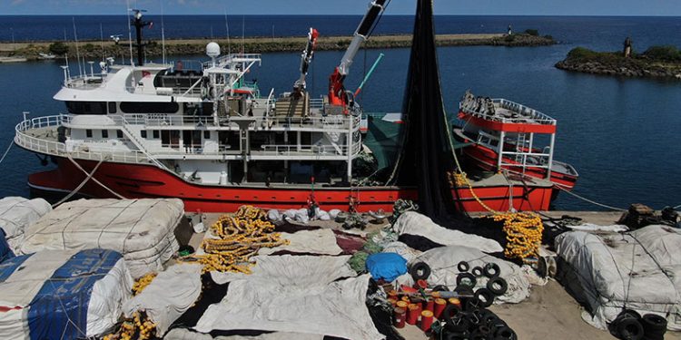 Palamut nereye onlar oraya