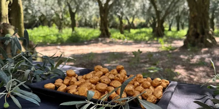 Altın kaplamalı zeytin yok satıyor