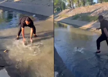 Balığı metrelerce kovaladılar