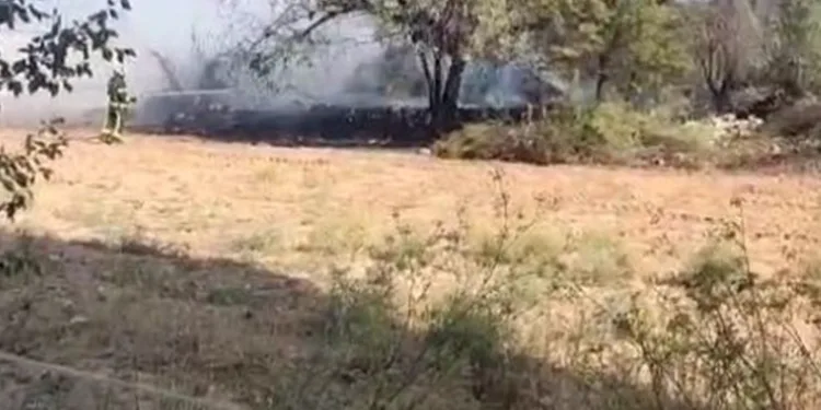 Samanlıkta çıkan yangın paniğe neden oldu