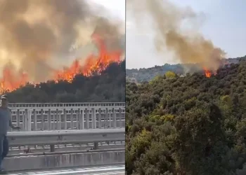 Bursa’da zeytinlik alana sıçrayan yangın söndürüldü