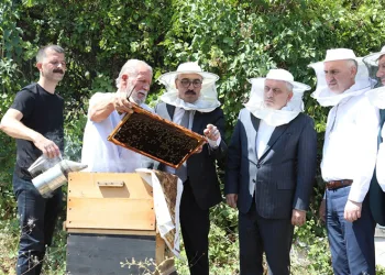 İnegöl bal üretiminde vites yükseltti