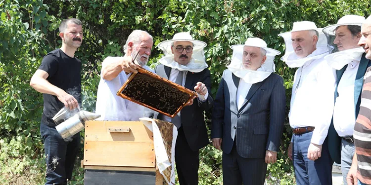 İnegöl bal üretiminde vites yükseltti