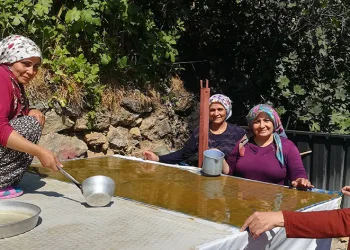 Kadınların zorlu pestil yapımı