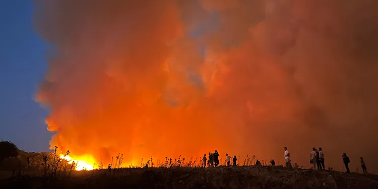 “İzmir’deki yangın piknik ateşinden çıktı”