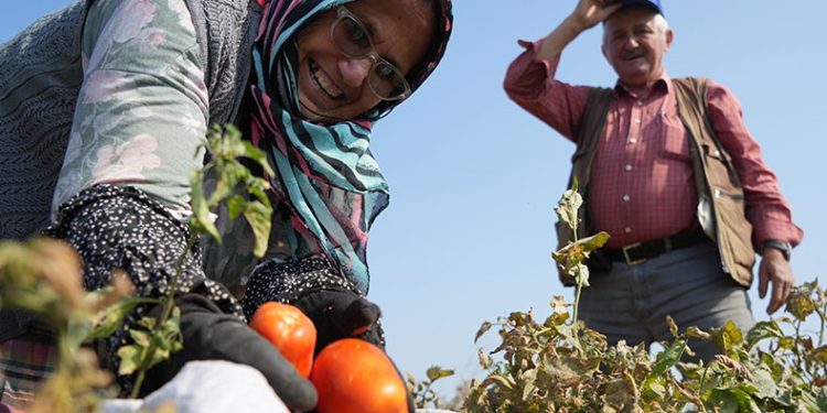 Bakanlıktan salça fabrikalarına destek geldi
