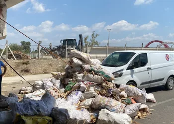 Adana’da tahta yüklü kamyon köprü altında sıkıştı