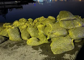Yasak yolla 2 ton midye çıkardı