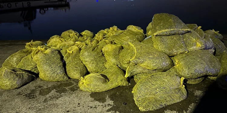 Yasak yolla 2 ton midye çıkardı