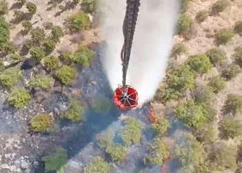 Bergama yangını kontrol altında
