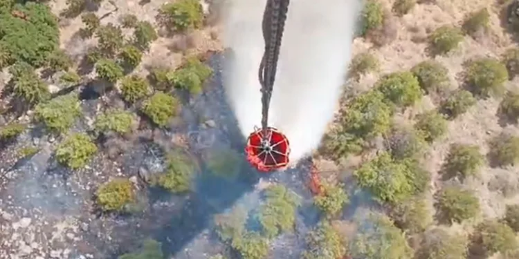 Bergama yangını kontrol altında