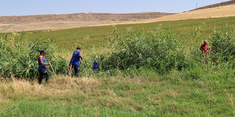 Narin’in ağabeyi İstanbul Adli Tıp Kurumu’na gönderildi