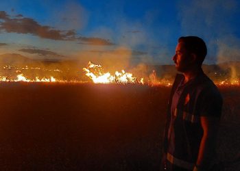 Van’da anız yangını