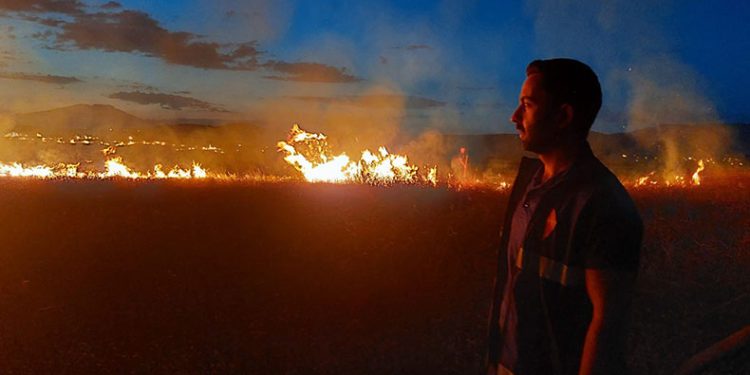Van’da anız yangını