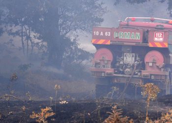 Kazdağı Milli Parkı’nda orman yangını