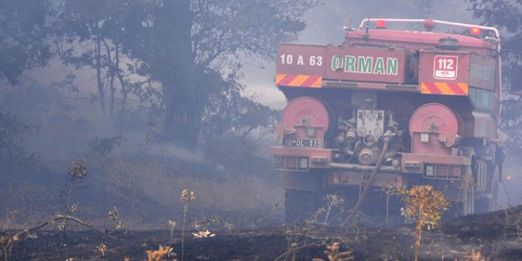 Kazdağı Milli Parkı’nda orman yangını