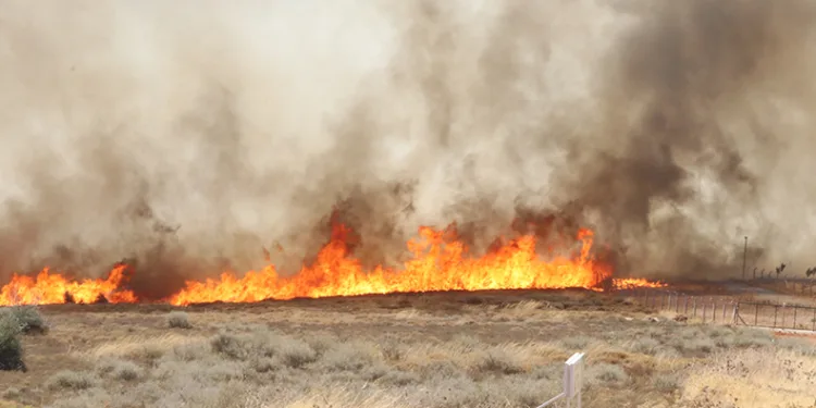 İzmir’deki orman yangını yerleşim yerlerine sıçradı