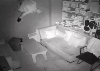 Havalandırma camından girerek 22 telefon çaldı