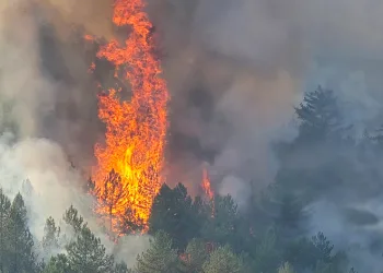 Karabük’teki yangın devam ediyor