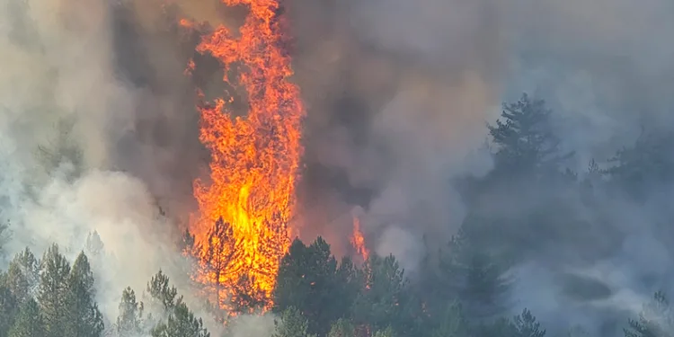 Karabük’teki yangın devam ediyor