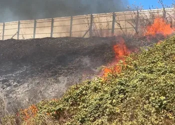 Susurluk – Balıkesir yolunda otlar tutuştu