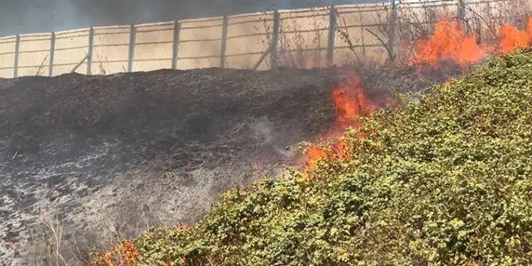 Susurluk – Balıkesir yolunda otlar tutuştu
