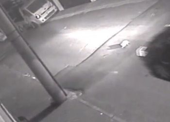 Kediye aracıyla çarpıp öldürdü, vatandaşları tehdit etti