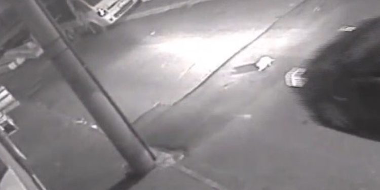 Kediye aracıyla çarpıp öldürdü, vatandaşları tehdit etti