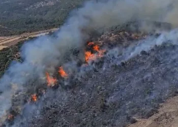 Manisa’da bir yangın da Yunusemre’de