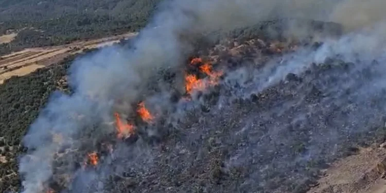 Manisa’da bir yangın da Yunusemre’de