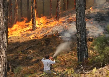 Ula’daki orman yangınına vatandaşlar su damacanaları ile destek veriyor