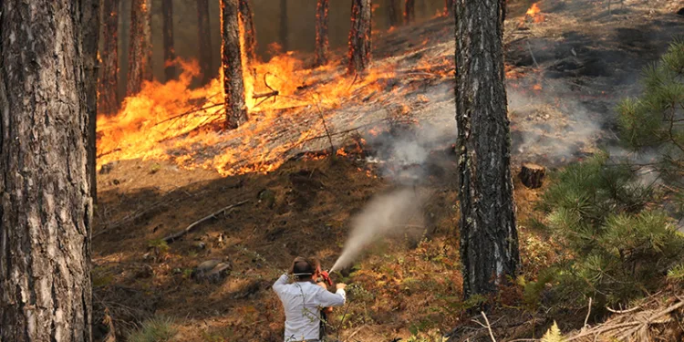 Ula’daki orman yangınına vatandaşlar su damacanaları ile destek veriyor