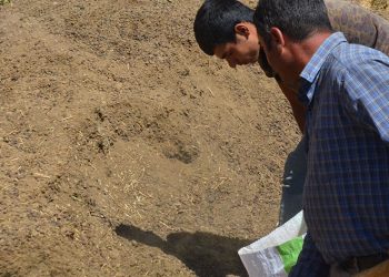 Hayvan yetiştiricilerinin yeni gelir kapısı