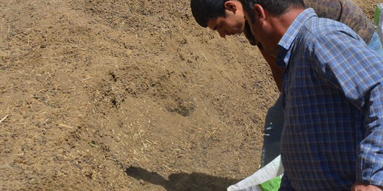 Hayvan yetiştiricilerinin yeni gelir kapısı