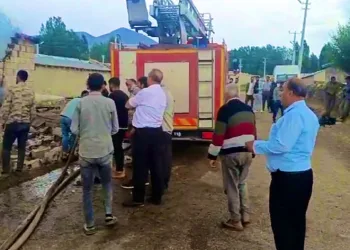 Özalp’te yıldırım düşmesi sonucu yangın çıktı