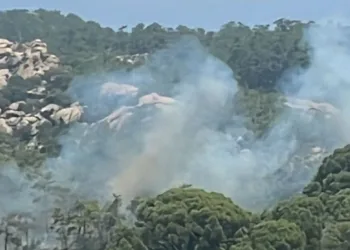 Yatağan’da orman yangını