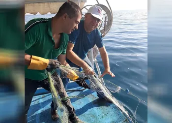 Van’da sazangiller av yasağı sona erdi