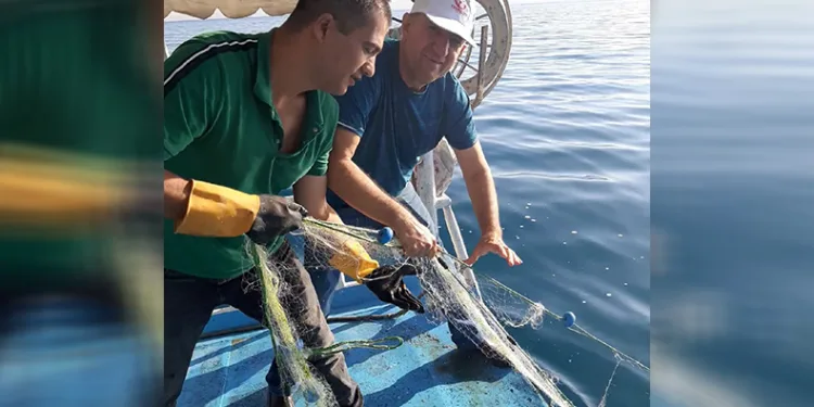 Van’da sazangiller av yasağı sona erdi