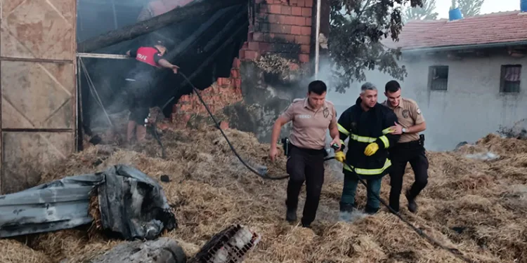 Besihanede çıkan yangında 5 büyük hayvan telef oldu