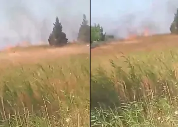 Bursa’da korkutan yangın