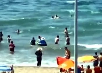 Sahilde büyük panik