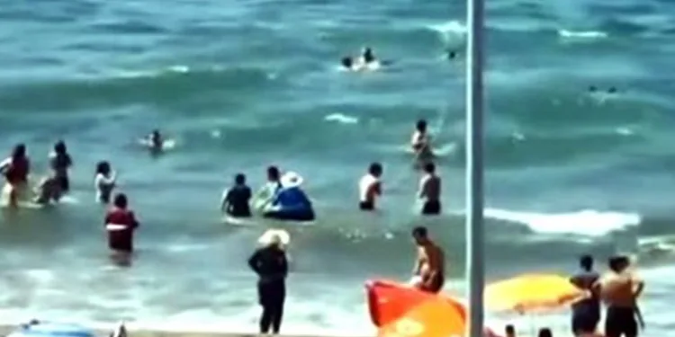 Sahilde büyük panik