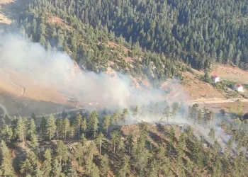 Osmaniye’de orman yangını