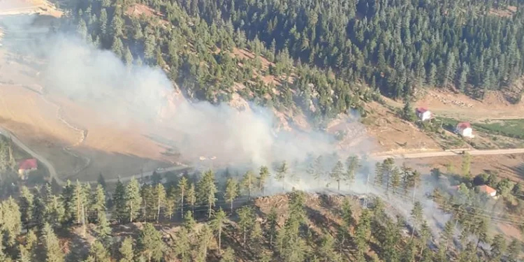 Osmaniye’de orman yangını