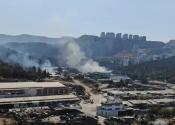 İzmir’de yanan yerler havadan görüntülendi