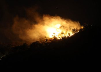 Hatay’da orman yangını