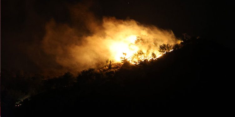 Hatay’da orman yangını