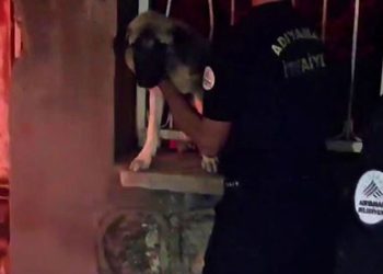 Korkuluklara sıkışan köpek kurtarıldı
